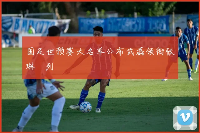 国足世预赛大名单公布武磊领衔张琳芃列