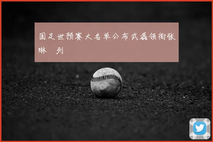 国足世预赛大名单公布武磊领衔张琳芃列