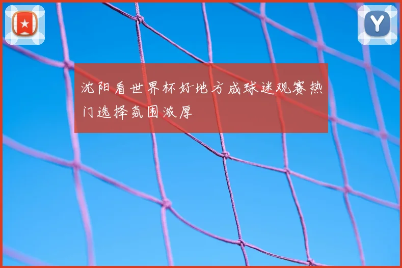 沈阳看世界杯好地方成球迷观赛热门选择氛围浓厚