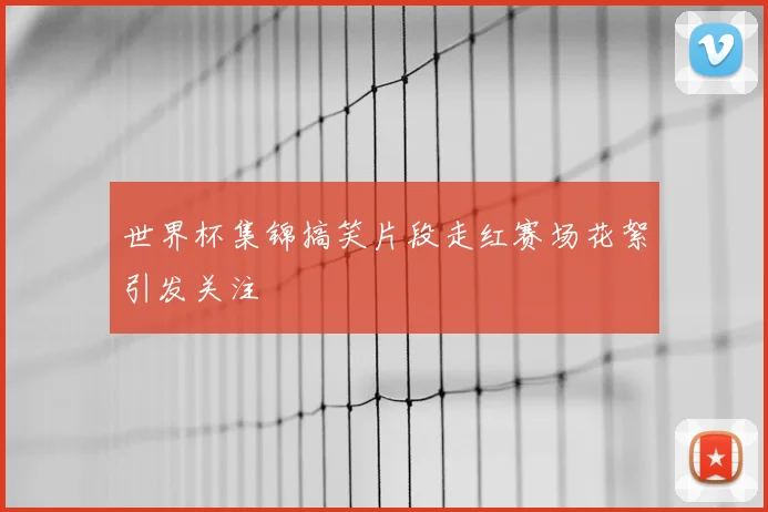 世界杯集锦搞笑片段走红赛场花絮引发关注