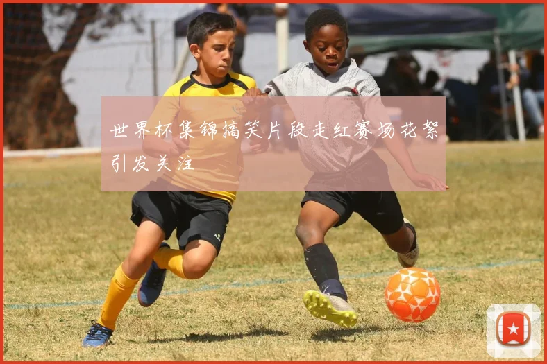 世界杯集锦搞笑片段走红赛场花絮引发关注
