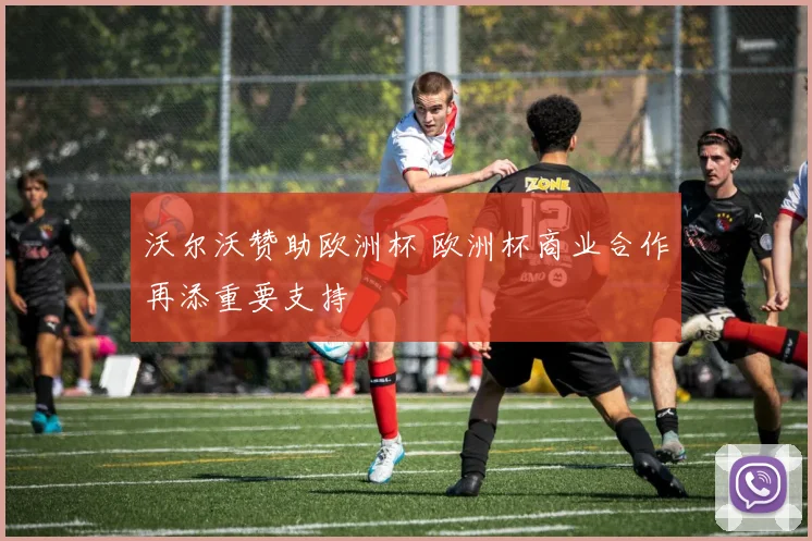 沃尔沃赞助欧洲杯 欧洲杯商业合作再添重要支持