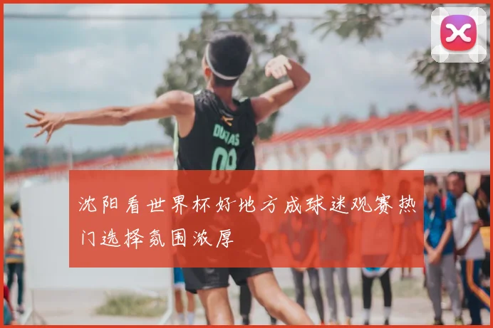 沈阳看世界杯好地方成球迷观赛热门选择氛围浓厚