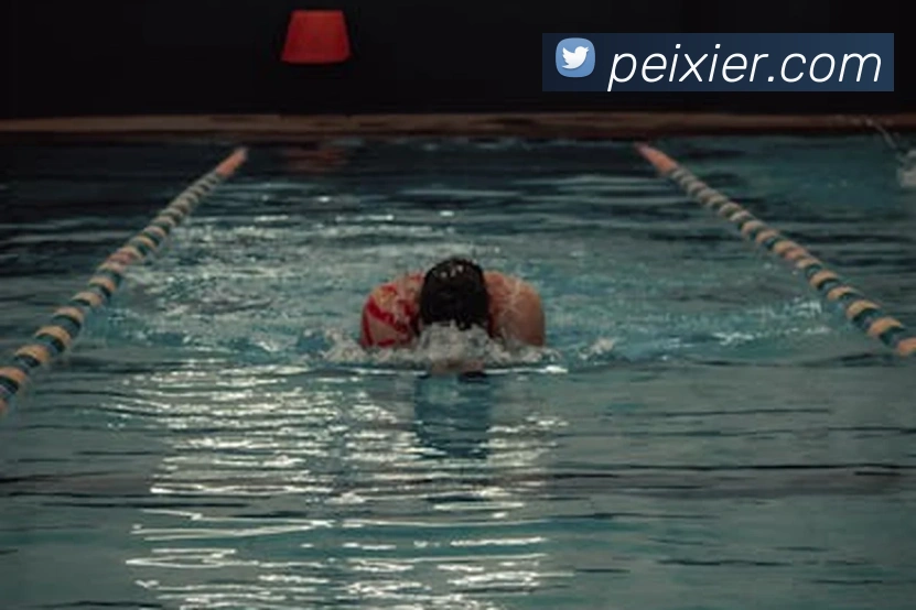 熊猫官网入口发展历程